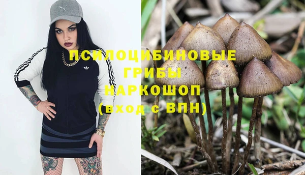 соль ск Верхнеуральск