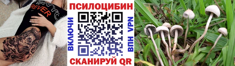 Галлюциногенные грибы MAGIC MUSHROOMS  МЕГА как войти  Гремячинск 